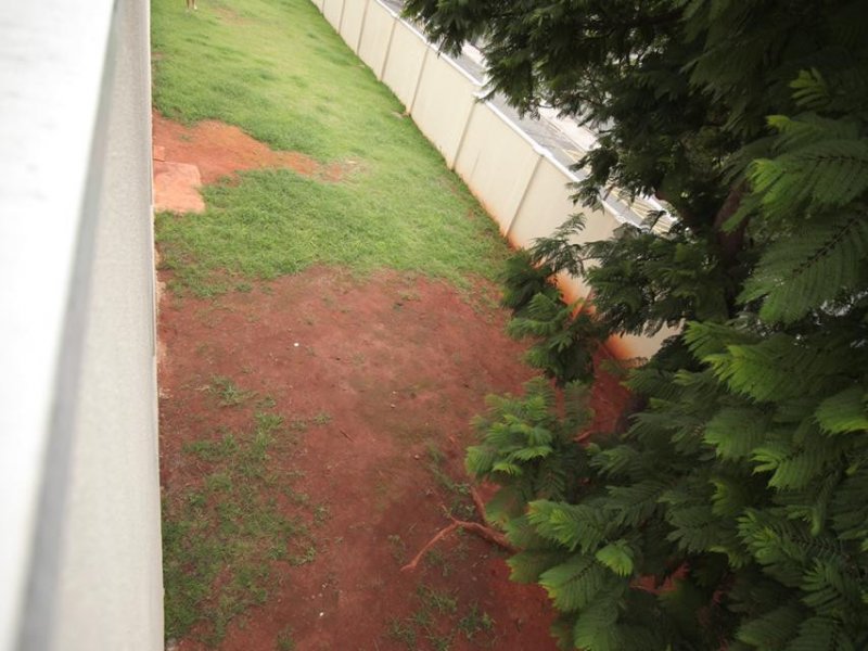 Apartamento à venda Maranhão com 47m² e 2 quartos por R$ 340.000 - 446629090-d2b1c686-9a7b-4deb-bbee-29139169a82f.jpeg