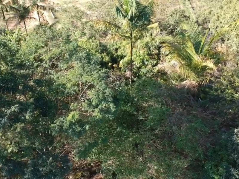 Sítio à venda Cururuquara com 21490m² e 3 quartos por R$ 2.200.000 - 1711169115-screenshot-20210101-150158-video-player.jpg