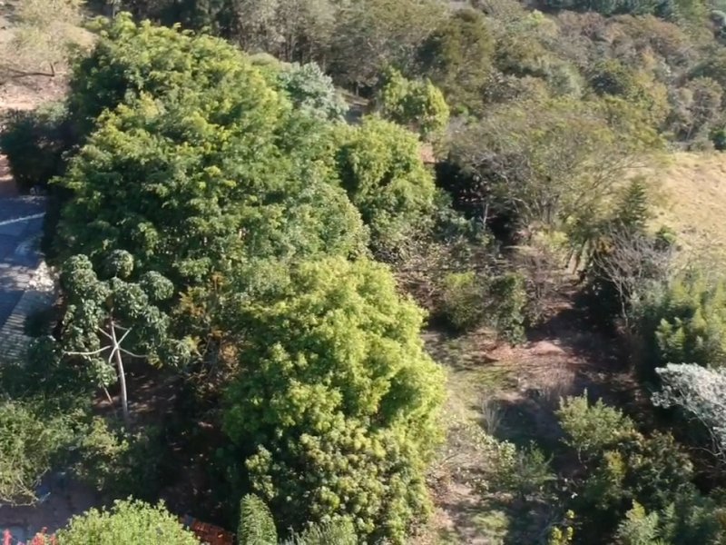 Sítio à venda Cururuquara com 21490m² e 3 quartos por R$ 2.200.000 - 1719051680-screenshot-20210101-150407-video-player.jpg