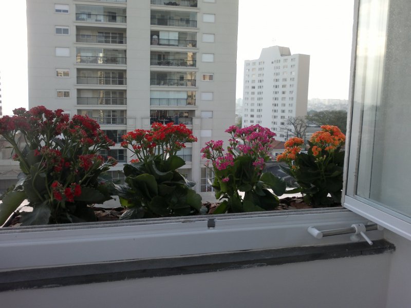 Apartamento à venda Vila Mascote com 92m² e 3 quartos por R$ 800.000 - 1091736881-22-sacada-suite.jpg