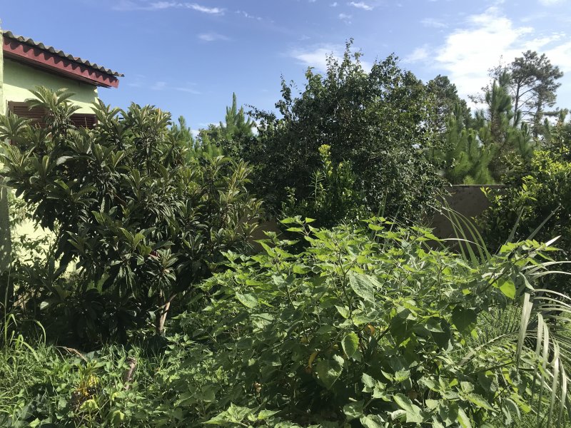 imóvel com 300m² - Tramandaí - Tramandai