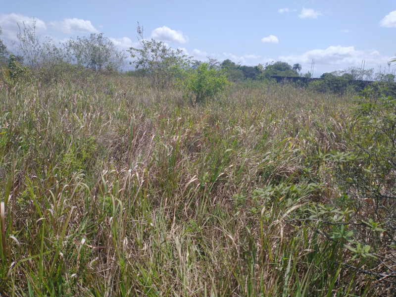 Terreno à venda Village do Sol com 587m² e 1 quarto por R$ 40.000 - 2002005778-img-20220926-wa0057.jpg