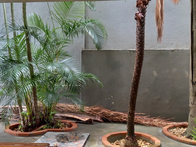 imóvel com 90m² - Santo Antônio - Belo Horizonte
