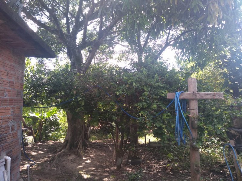 Casa à venda Ana Maria com 325m² e 3 quartos por R$ 150.000 - 1325875886-whatsapp-image-2021-01-04-at-10.jpeg