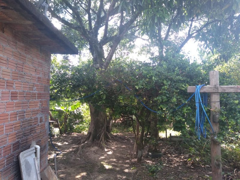 Casa à venda Ana Maria com 325m² e 3 quartos por R$ 150.000 - 477860714-whatsapp-image-2021-01-04-at-10.jpeg