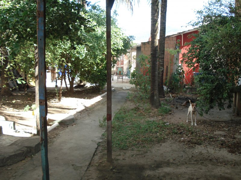 Casa à venda Wilson com 360m² e 1 quarto por R$ 390.000 - 1893907846-dsc02083-copia-copia-copia-2-copia-copia.JPG