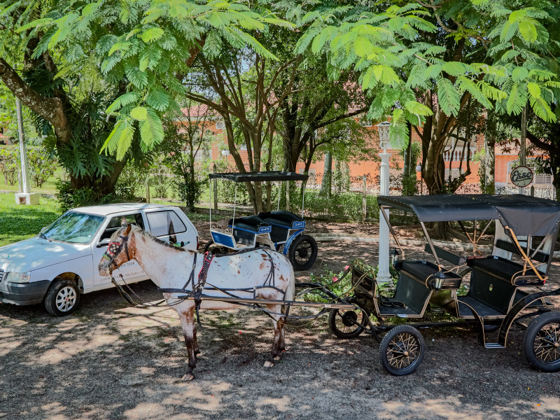 Casa de condomínio à venda Centro com 10000m² e 5 quartos por R$ 1.500.000 - carruagem-e-auto-troler.jpg