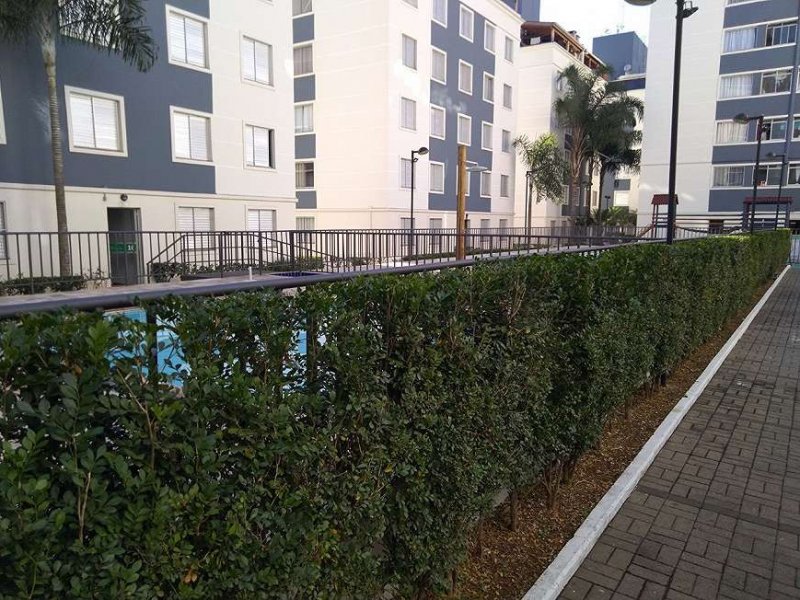 Apartamento à venda Vila Miriam com 52m² e 3 quartos por R$ 268.500 - 810696438-4dac650210c327cda1dea5428dc35615.jpg