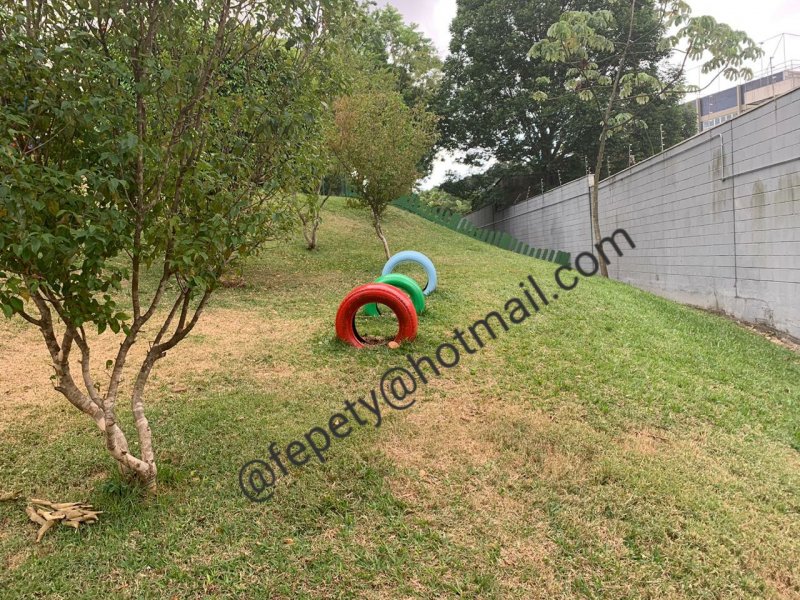 Apartamento à venda Chácara Nossa Senhora do Bom Conselho com 56m² e 2 quartos por R$ 320.000 - 1747936718-photo-1605227782011.jpg