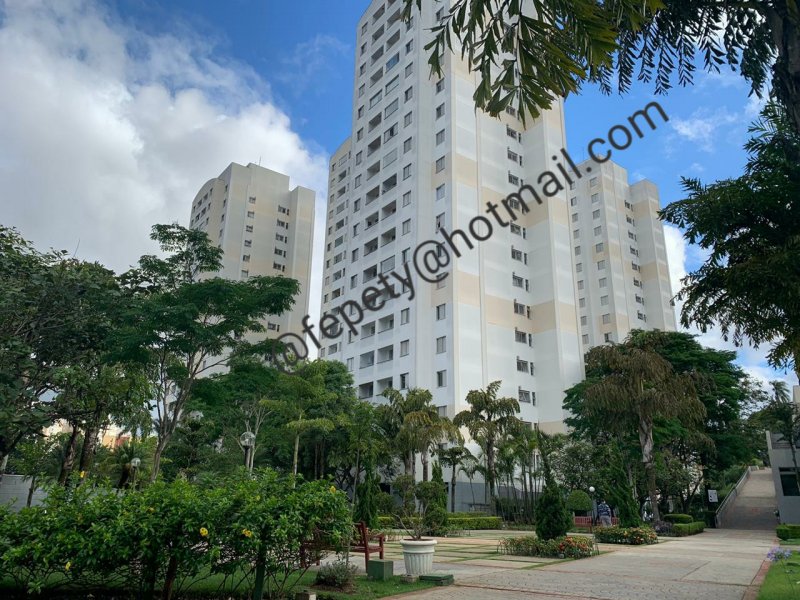 Apartamento à venda Chácara Nossa Senhora do Bom Conselho com 56m² e 2 quartos por R$ 320.000 - 772766003-photo-1605227671612.jpg