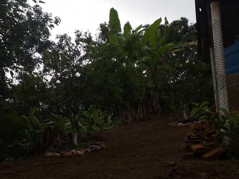 Chácara à venda Cruz Vera com 2200m² e 4 quartos por R$ 314.000 - 849032220-16099654867671595852113968830971.jpg