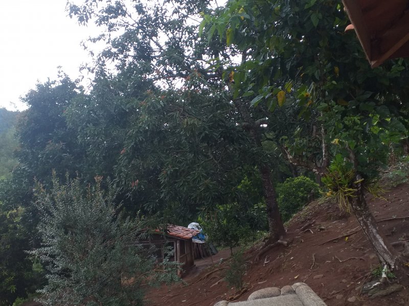 Chácara à venda Cruz Vera com 2200m² e 4 quartos por R$ 314.000 - 872411220-16099653588116395282207733554272.jpg