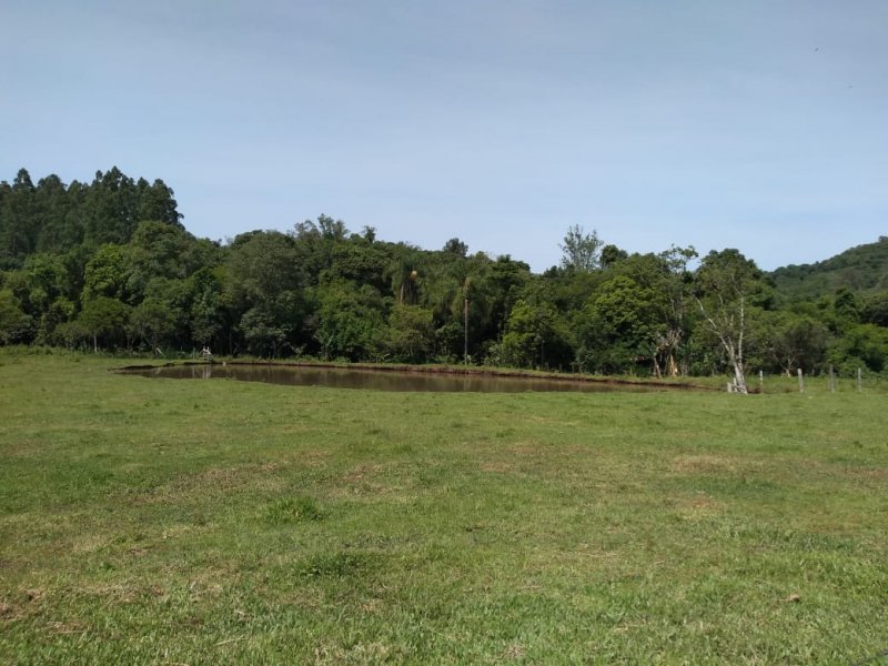 imóvel com 15000m² - LAJEADINHO/BARRA DO CADEIA - São Sebastião do Caí