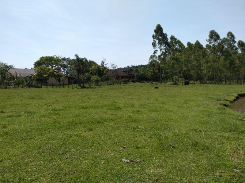 imóvel com 15000m² - LAJEADINHO/BARRA DO CADEIA - São Sebastião do Caí