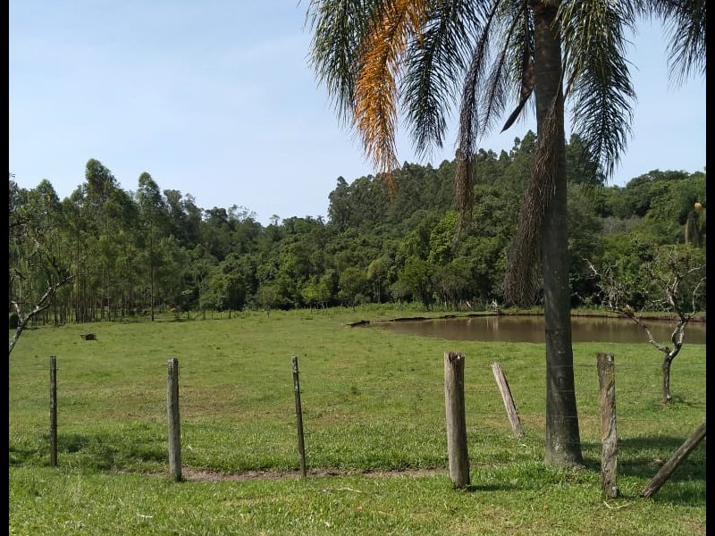 imóvel com 15000m² - LAJEADINHO/BARRA DO CADEIA - São Sebastião do Caí