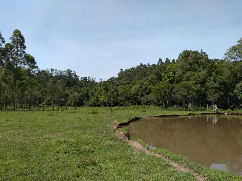 imóvel com 15000m² - LAJEADINHO/BARRA DO CADEIA - São Sebastião do Caí
