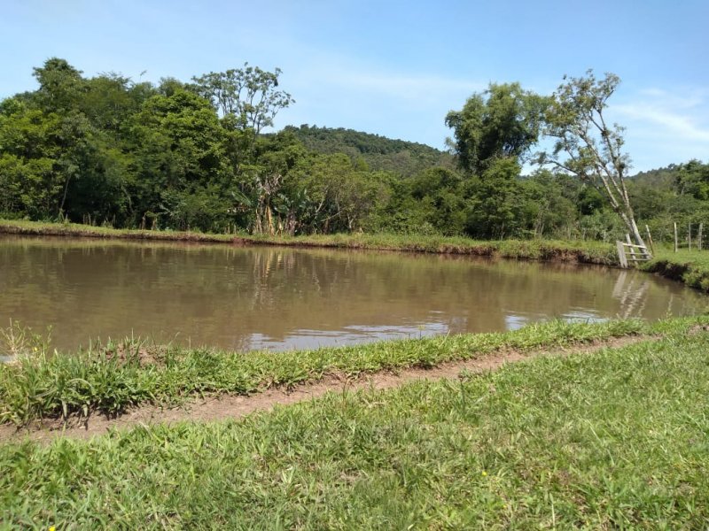 imóvel com 15000m² - LAJEADINHO/BARRA DO CADEIA - São Sebastião do Caí