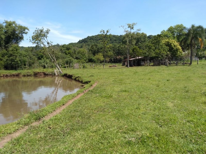 imóvel com 15000m² - LAJEADINHO/BARRA DO CADEIA - São Sebastião do Caí