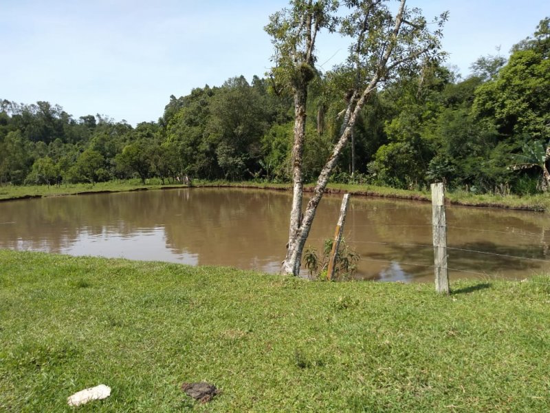 imóvel com 15000m² - LAJEADINHO/BARRA DO CADEIA - São Sebastião do Caí