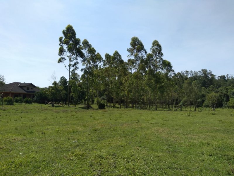 imóvel com 15000m² - LAJEADINHO/BARRA DO CADEIA - São Sebastião do Caí