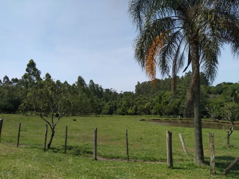 imóvel com 15000m² - LAJEADINHO/BARRA DO CADEIA - São Sebastião do Caí