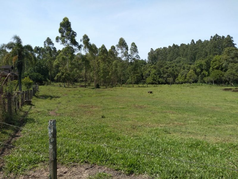 imóvel com 15000m² - LAJEADINHO/BARRA DO CADEIA - São Sebastião do Caí