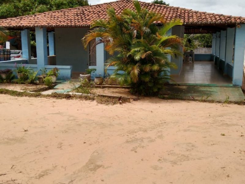 Sítio à venda Taborda com 2000m² e 2 quartos por R$ 250.000 - 29134549-1316246a-8b56-4a8d-965f-67c4a2b435da.jpg