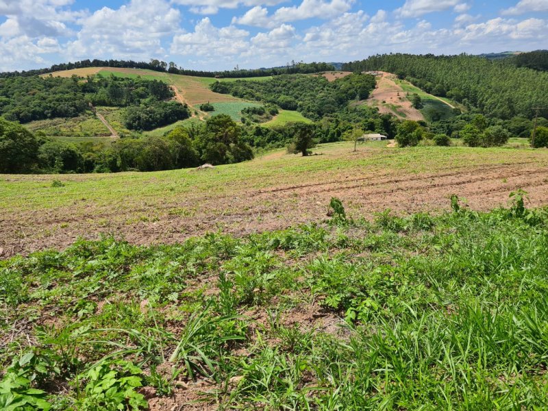 Sítio à venda Bairro dos oliveiras com 109000m² e 4 quartos por R$ 800.000 - 183633227-img-20201207-wa0076.jpg