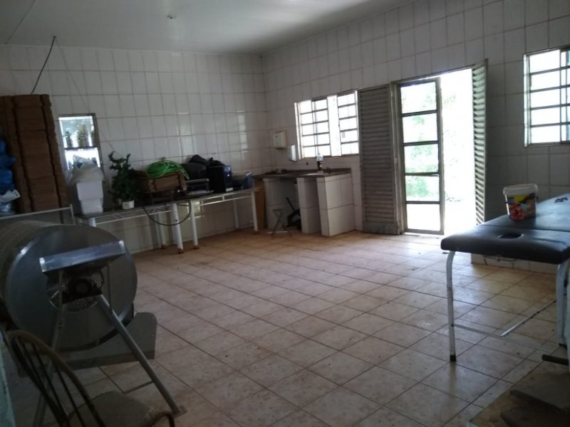 Sítio à venda Bairro dos oliveiras com 109000m² e 4 quartos por R$ 800.000 - 70425295-img-20201207-wa0094.jpg