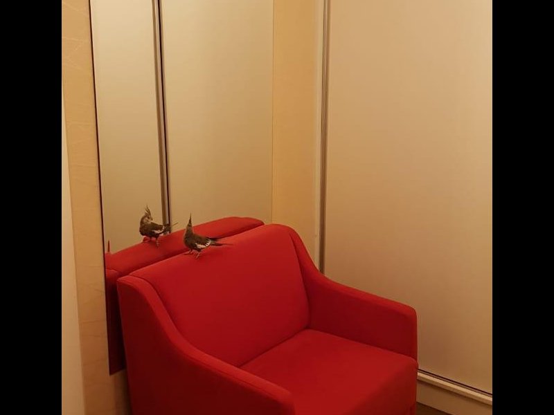 imóvel com 69m² - Mooca - São Paulo