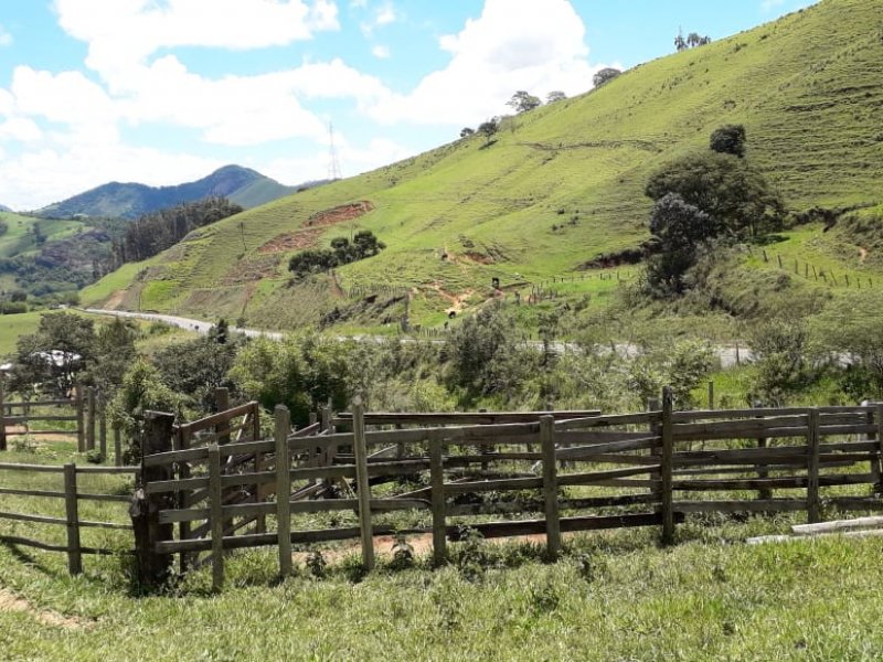 Sítio à venda Varginha com 338000m² e 1 quarto por R$ 620.000 - 765833244-img-20201220-wa0011.jpg