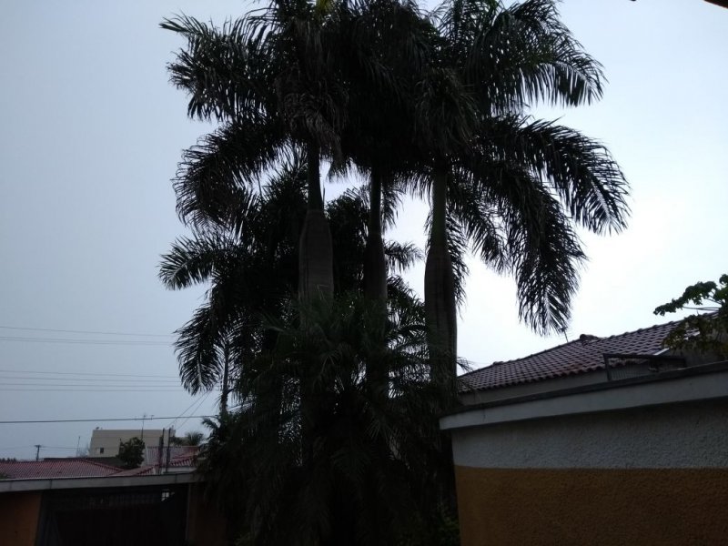 Apartamento à venda Jardim Nova Aparecida com 350m² e 4 quartos por R$ 750.000 - 1982322316-img-20180212-wa0076.jpg