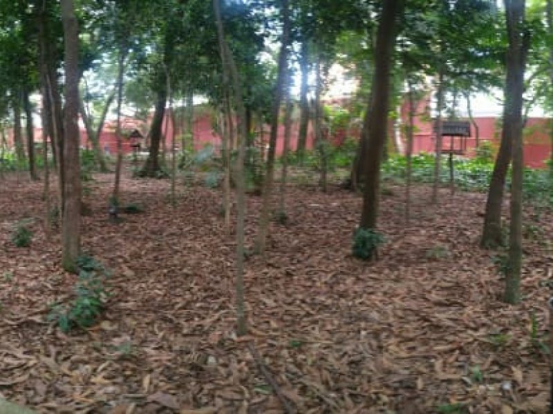 Apartamento à venda Vila Mascote com 90m² e 3 quartos por R$ 860.000 - 1175843580-whatsapp-image-2021-01-06-at-10.jpeg