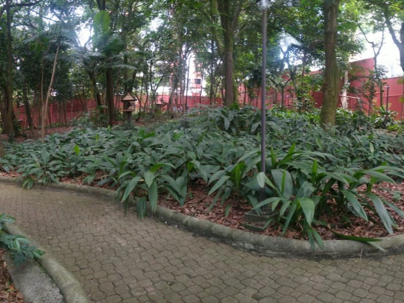 Apartamento à venda Vila Mascote com 90m² e 3 quartos por R$ 860.000 - 182228536-whatsapp-image-2021-01-06-at-10.jpeg