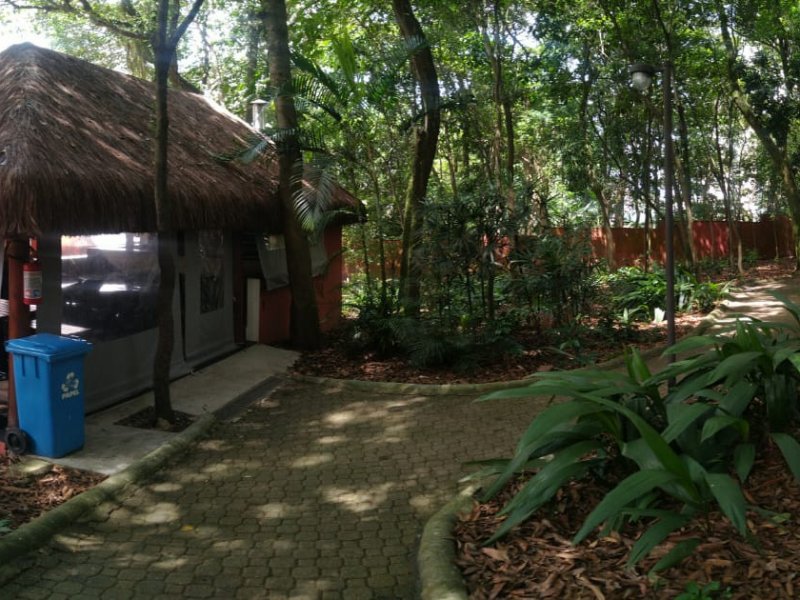 Apartamento à venda Vila Mascote com 90m² e 3 quartos por R$ 860.000 - 1854559435-whatsapp-image-2021-01-06-at-10.jpeg