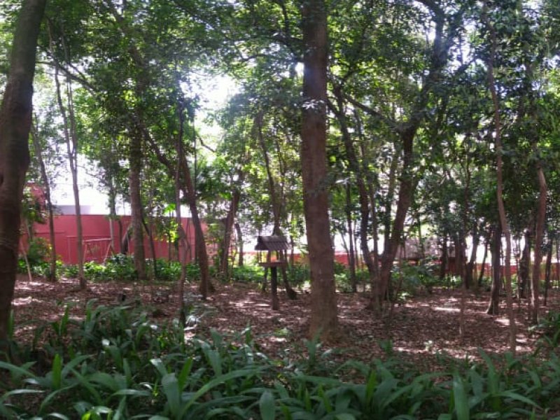 Apartamento à venda Vila Mascote com 90m² e 3 quartos por R$ 860.000 - 264479783-whatsapp-image-2021-01-06-at-10.jpeg