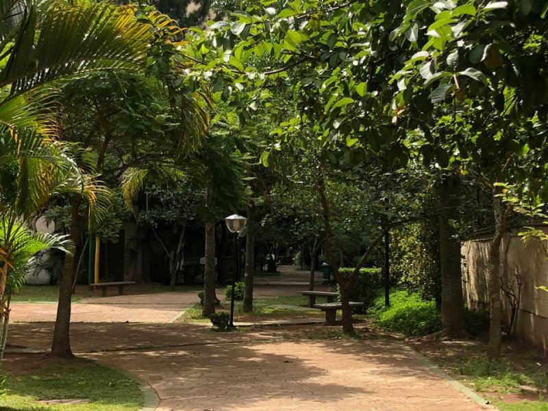 Apartamento para alugar Jardim Boa Vista (Zona Oeste) com 60m² e 3 quartos por R$ 1.450 - 1641993152-05f1d1ce-560f-4898-86ab-8b8bb863540a.jpeg