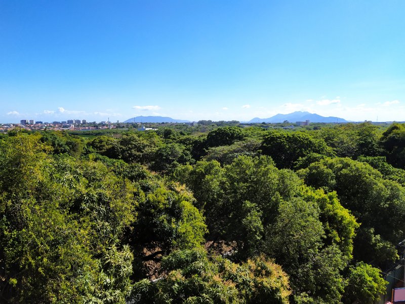 Apartamento à venda Antônio Bezerra com 79m² e 3 quartos por R$ 380.000 - 1165447627-img-20201021-143538.jpg