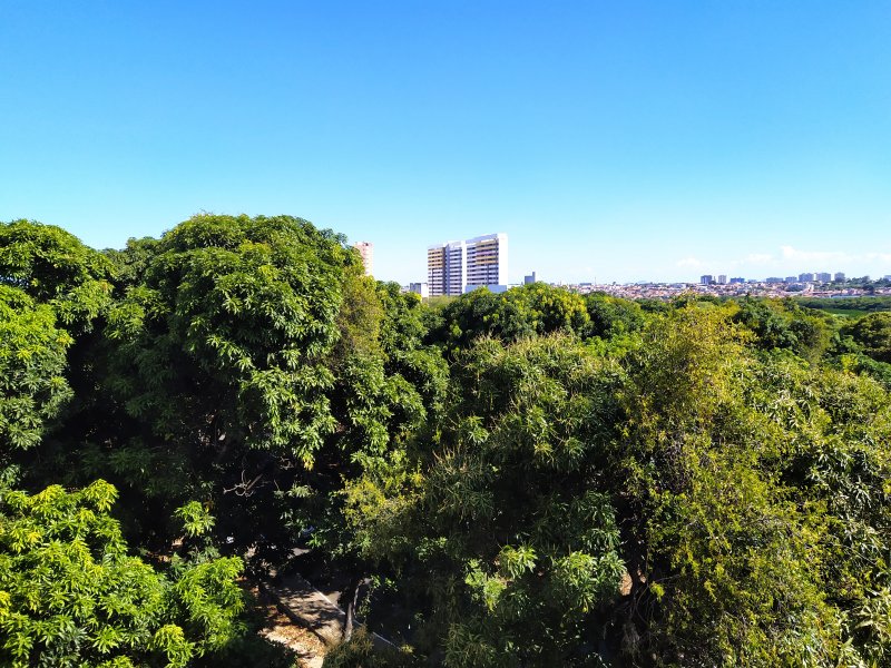 Apartamento à venda Antônio Bezerra com 79m² e 3 quartos por R$ 380.000 - 1181689468-img-20201021-143534.jpg