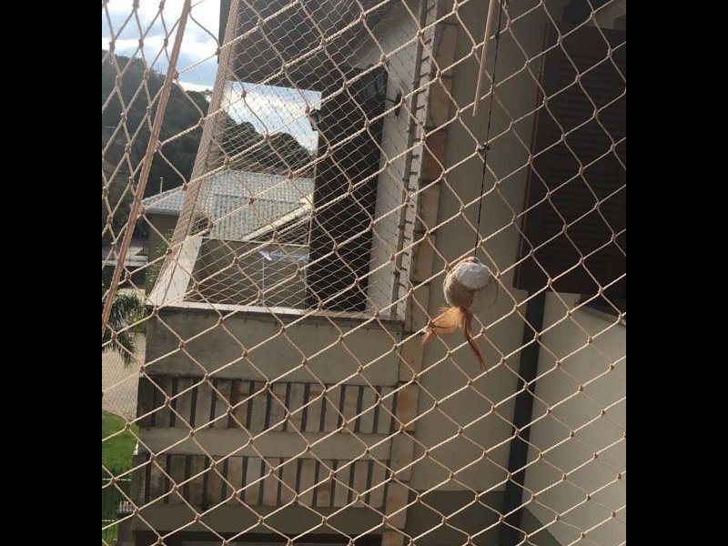 Apartamento à venda Vila Suica com 93m² e 2 quartos por R$ 690.000 - 255367964-c6f05ee3-e070-48ed-91a2-a2646d50eb21.jpg