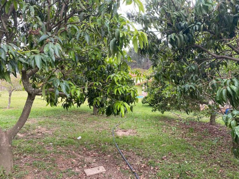 Chácara à venda Oncinha com 220m² e 3 quartos por R$ 490.000 - 39874183-136353711-236755977974216-371822946073356699-o.jpg