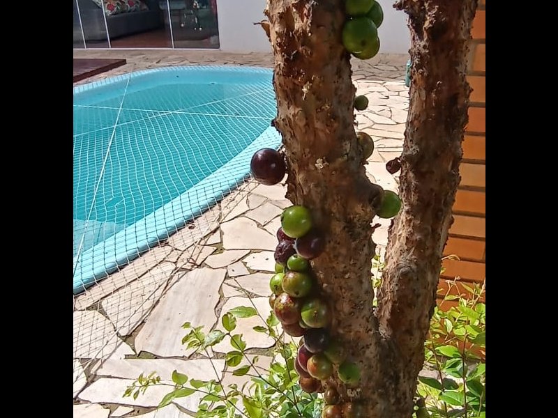 Casa à venda Bom Retiro com 230m² e 6 quartos por R$ 1.250.000 - 2022716145-32-patio-7.jpeg