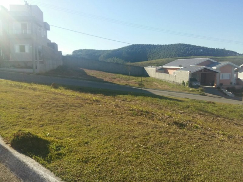 Terreno à venda Vila Paiva com 360m² e  quartos por R$ 270.000 - 1172252165-59d8432d-bc27-43ff-aa92-65ac8a9a7896.jpg