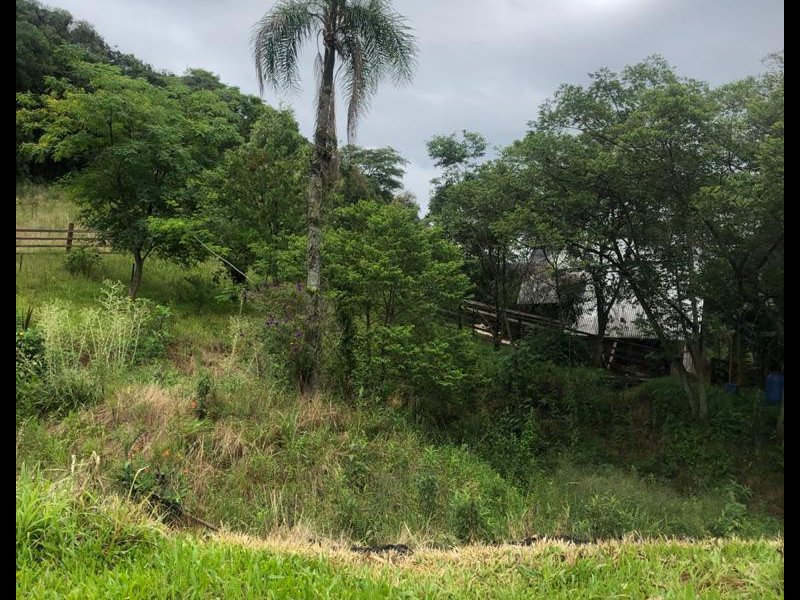 Chácara à venda Interior  com 14000m² e 2 quartos por R$ 200.000 - 1093676138-3326c806-4d99-4f67-b2ef-50184bbc2ce0.jpeg