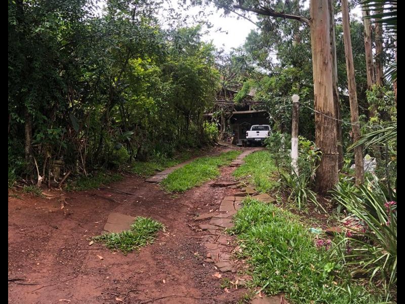 Chácara à venda Interior  com 14000m² e 2 quartos por R$ 200.000 - 1103540201-39de08b2-01e2-471d-8148-72926f491395.jpeg