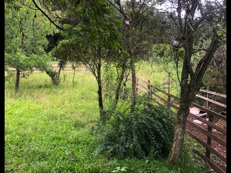 Chácara à venda Interior  com 14000m² e 2 quartos por R$ 200.000 - 1471751466-d0f3d6b4-043a-4ea8-94ca-56f017195a57.jpeg