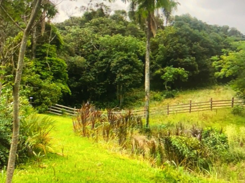Chácara à venda Interior  com 14000m² e 2 quartos por R$ 200.000 - 1734108514-215921e8-e95a-4b6f-9f24-41a627880e7d.jpeg