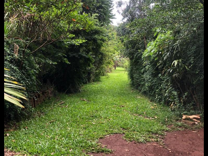 Chácara à venda Interior  com 14000m² e 2 quartos por R$ 200.000 - 1848617432-af201bfc-835d-4d8c-a23f-8c8805c95dfb.jpeg