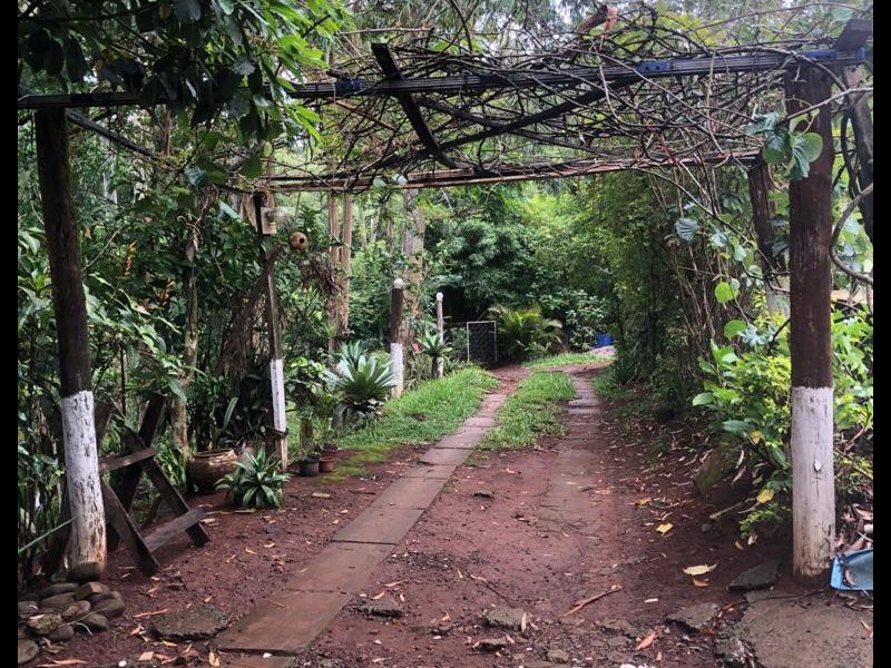 Chácara à venda Interior  com 14000m² e 2 quartos por R$ 200.000 - 270596809-495459ae-0c28-411d-90a1-af11e3433ab8.jpeg
