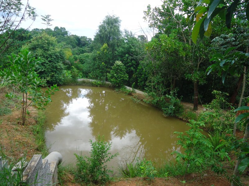 Chácara à venda Rural com 135m² e 3 quartos por R$ 480.000 - 1436080188-dsc01366.JPG